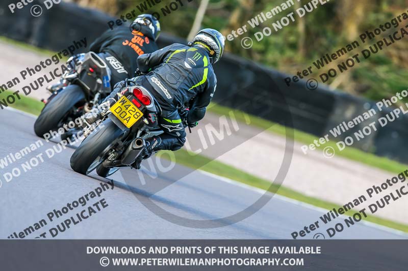 Oulton Park 20th March 2020;PJ Motorsport Photography 2020;anglesey;brands hatch;cadwell park;croft;donington park;enduro digital images;event digital images;eventdigitalimages;mallory;no limits;oulton park;peter wileman photography;racing digital images;silverstone;snetterton;trackday digital images;trackday photos;vmcc banbury run;welsh 2 day enduro